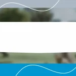 What I Learned About Packaging Economics